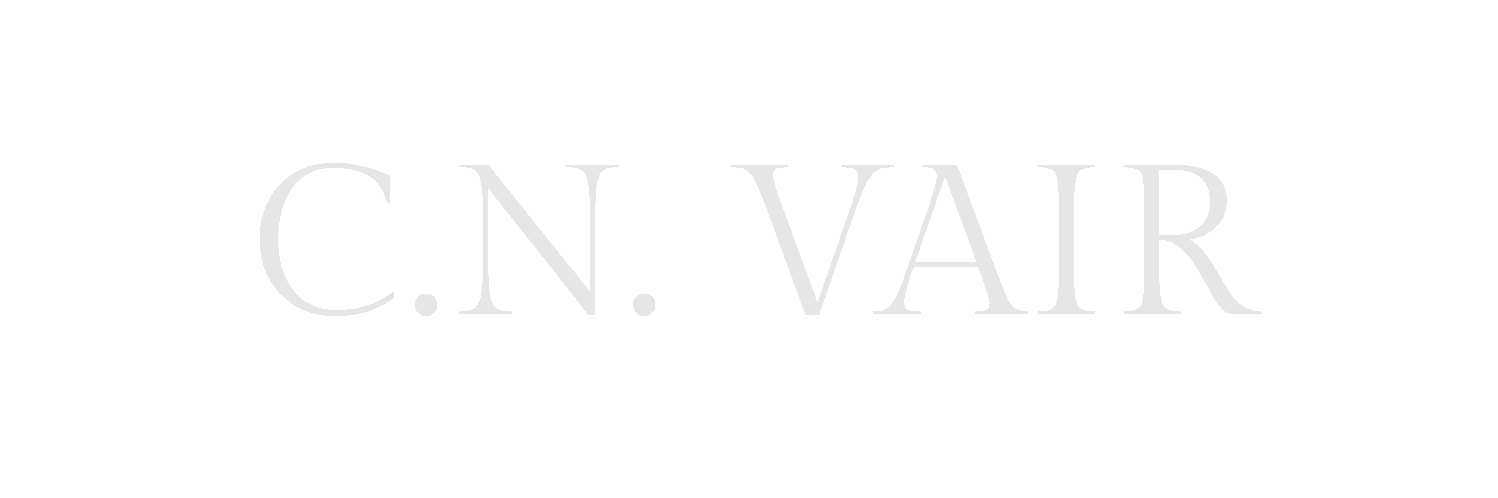 website logo (2)